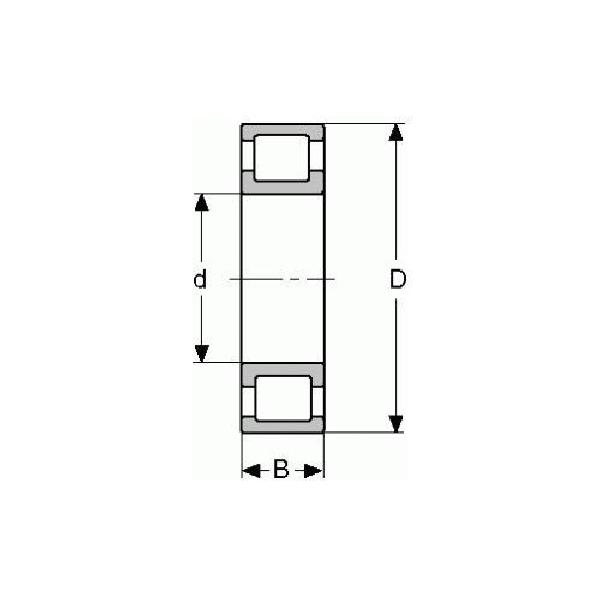 Cylindrical Roller Bearing, Straight Bore, Series: RMS, 1.125 Inch Bore, 2.8125 Inch Outside Diameter, 1 Rows, 0.8125 Inch Width, Steel Cage