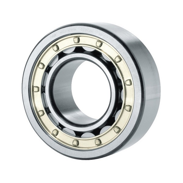 Cylindrical Roller Bearing, Separable, Series: NJ22-E, 170 mm Bore, 310 mm OD, 1 Rows, 86 mm Width, 1400000 N Load, Solid Brass Cage, 3300 rpm Maximum, -30 to 150 °C
