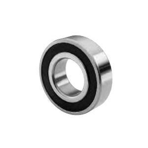 X117 2RS RADIAL BALL BRG 2101102384 TRITAN