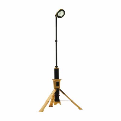 Remote Area Light, Gen 2, Series: 9440, 14.4 VAC/VDC, LED Lamp, 1 Head, 50000 hr Average Life, Polycarbonate Lens, IP65 Enclosure, ABS/Polycarbonate, Yellow, 37.4 in L x 7.87 in W Dimensions