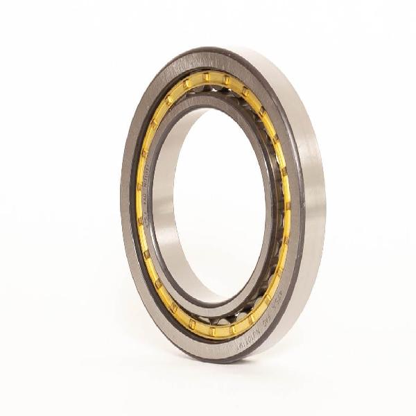 Cylindrical Roller Bearing, Straight Bore, Series: NU-1016, 91.5 mm Bore, 125 mm Outside Diameter, 1 Rows, 22 mm Width, Bronze Cage