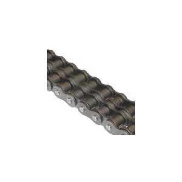 Riveted Roller Chain, 5/8 Inch Pitch, 50-2R Chain, 2-Strand, 10 Feet/Coil, Carbon Steel