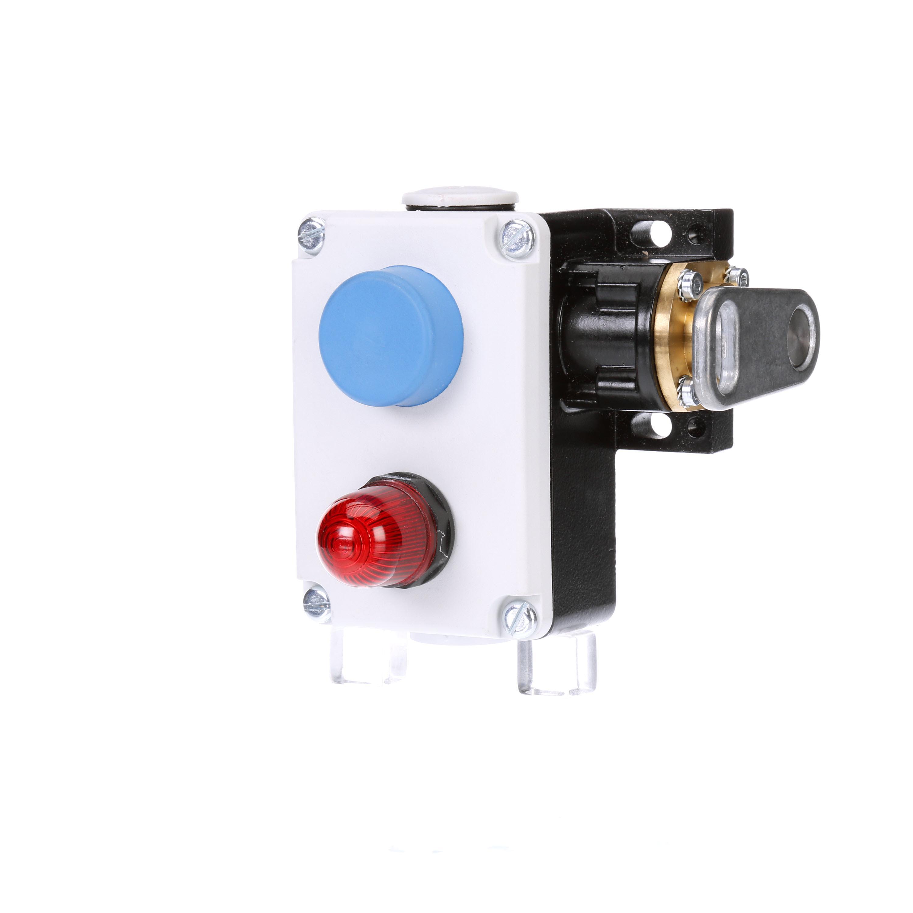 Cable Operated Switch, 115 VAC, 1NC-1NO ContConfiguration, IP65 Enclosure, Screw Clamp Terminal, -25 to 70 °C, Metal
