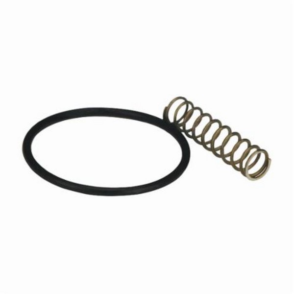 Check Valve Spring Kit, Optional, For Use With: BL918, BL919 and BL920 Bulk Delivery Nozzle